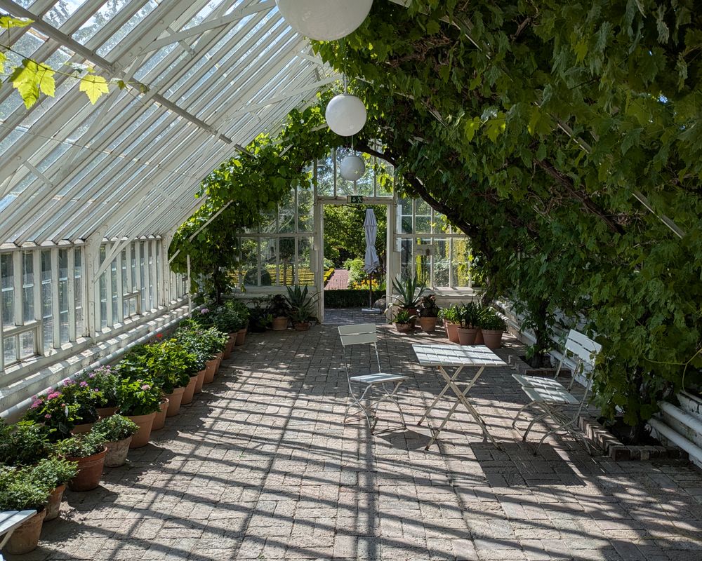 Veranda & pergola